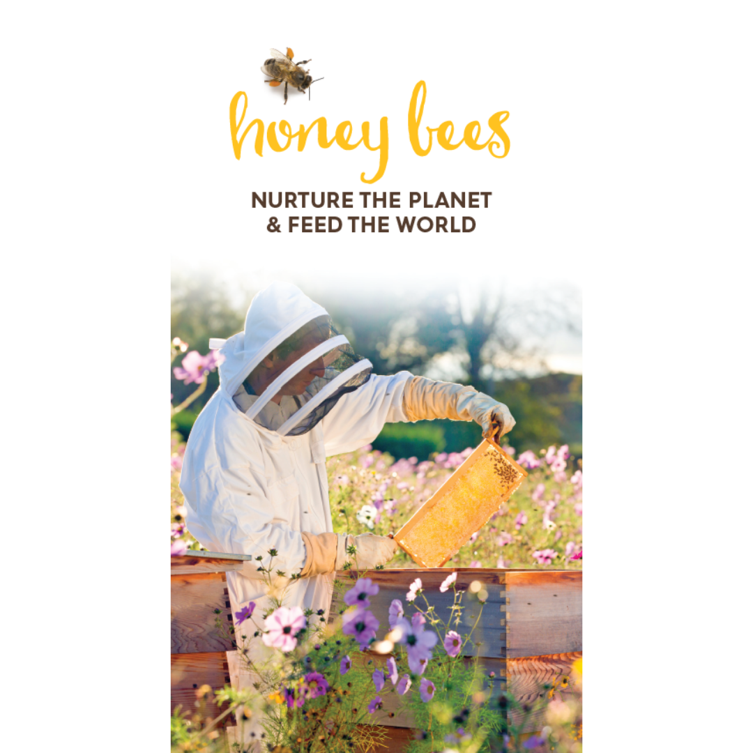 Story of Honey Brochure