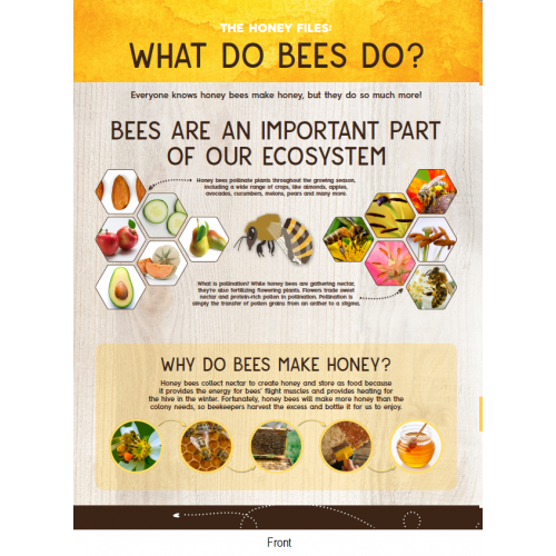Honey Bees 101 Activity Sheet